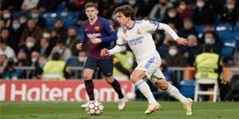 富勒姆：志在直接升级的“农场主”   -  九游娱乐