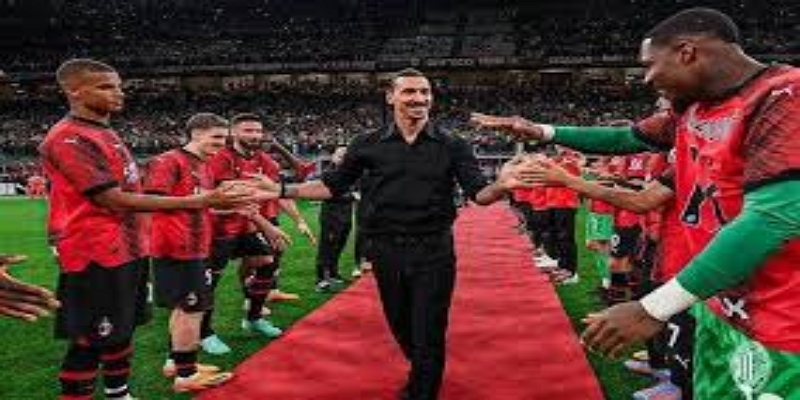 伊布效应：九游娱乐深度剖析商业价值与市场潜力- 九游娱乐